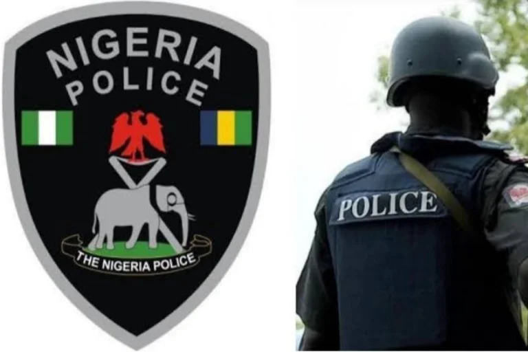 Edo Police To Investigate Severing Of Two Persons Hands