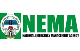 NEMA DG Honoured As Disaster Risk Reduction Envoy