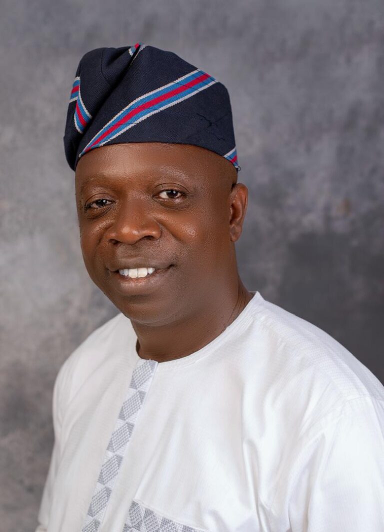 Do Not Succumb To Intimidation, Harassment, APC Chieftain Tells Amupitan