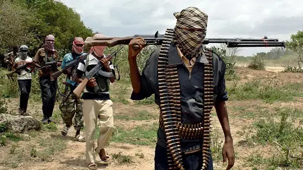 Villagers Flee As Armed Gangs Launch Fresh Attacks In Benue