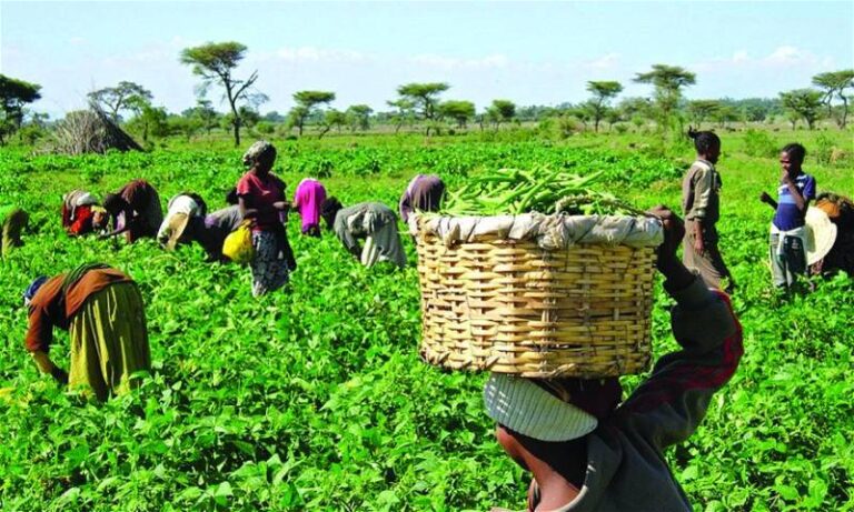 Northern leaders urged to own Green Imperative Nigeria