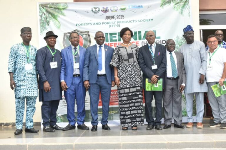 Experts Advocate Digital Mgt Of Forests To Enhance Economic, Environmental Devt