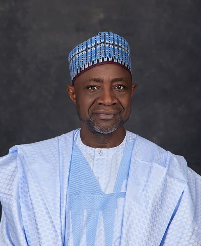 Lithium Boom Reshapes Nasarawa’s Economy – Prof Haruna