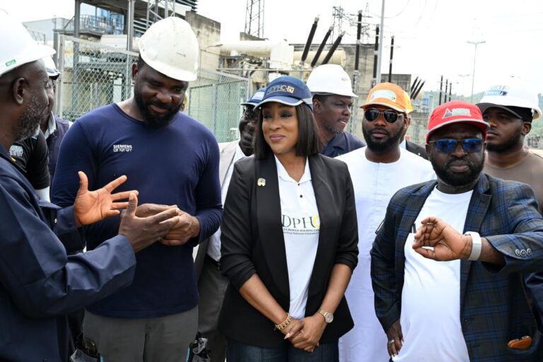 NDPHC Begins Routine Maintenance Of 430MW Geregu Power Plant