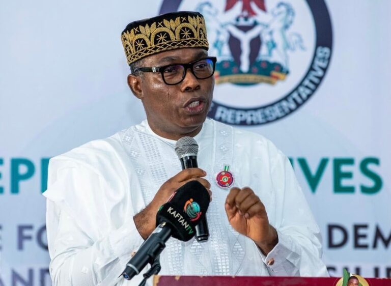 Presidential Pardon, Careless, Lacks Moral Reflection, Says Adebayo